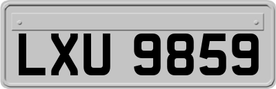 LXU9859