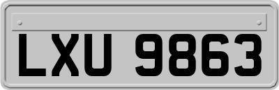 LXU9863