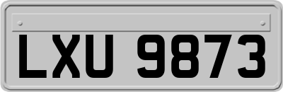 LXU9873