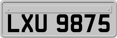 LXU9875