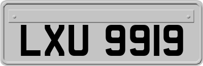 LXU9919