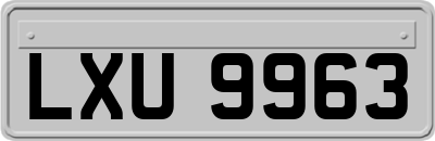 LXU9963