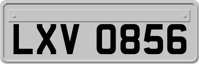 LXV0856
