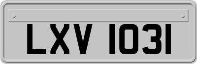 LXV1031