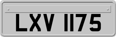 LXV1175