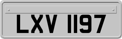 LXV1197
