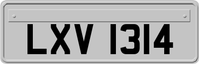 LXV1314