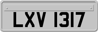 LXV1317