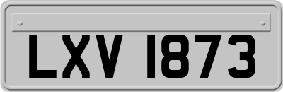 LXV1873