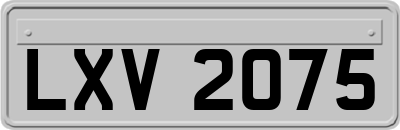 LXV2075