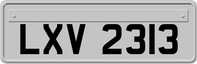 LXV2313