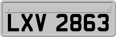 LXV2863