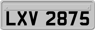 LXV2875