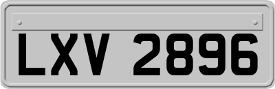LXV2896