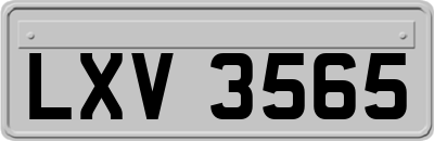 LXV3565