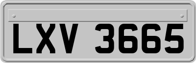 LXV3665