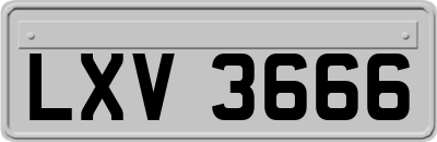 LXV3666