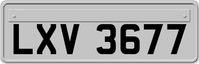 LXV3677