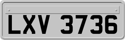 LXV3736