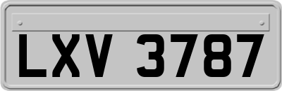 LXV3787