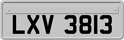 LXV3813