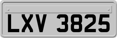 LXV3825