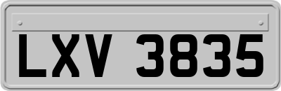 LXV3835