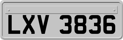 LXV3836