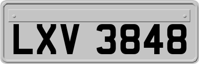 LXV3848