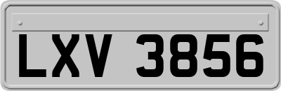 LXV3856