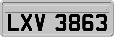 LXV3863