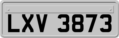 LXV3873