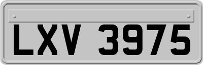 LXV3975