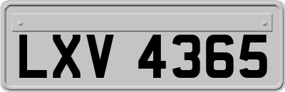 LXV4365