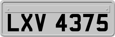LXV4375