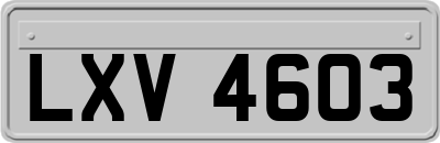 LXV4603