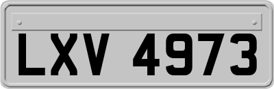 LXV4973