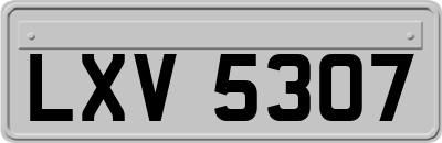 LXV5307