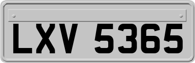LXV5365