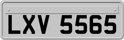 LXV5565