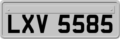 LXV5585