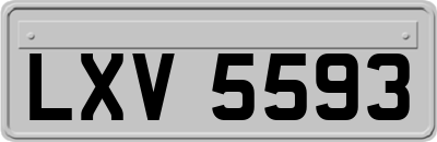 LXV5593