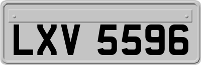 LXV5596