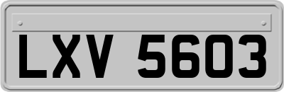LXV5603
