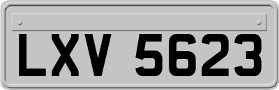 LXV5623