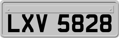 LXV5828