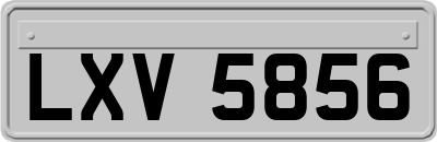 LXV5856