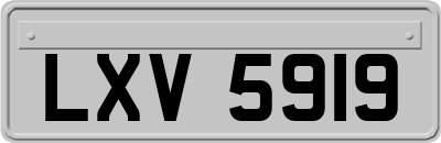 LXV5919