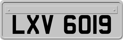 LXV6019