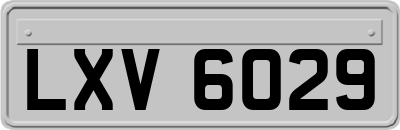 LXV6029